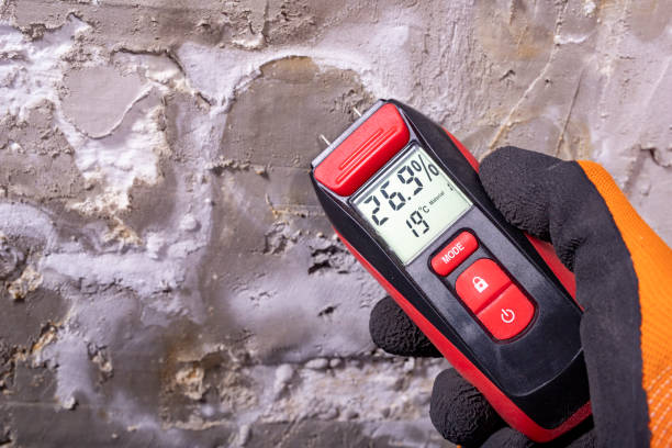 Best Insurance-Related Mold Remediation in Shady Cove, OR