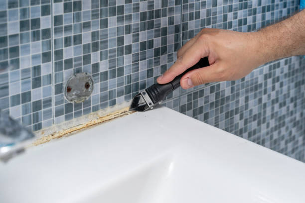 Best Commercial Mold Remediation in Shady Cove, OR